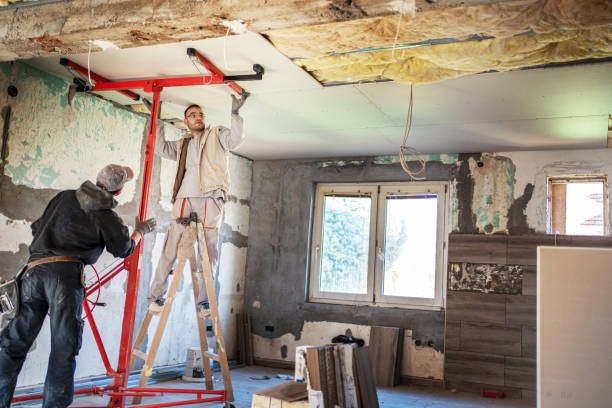 Best Residential Insulation in Carrington, ND